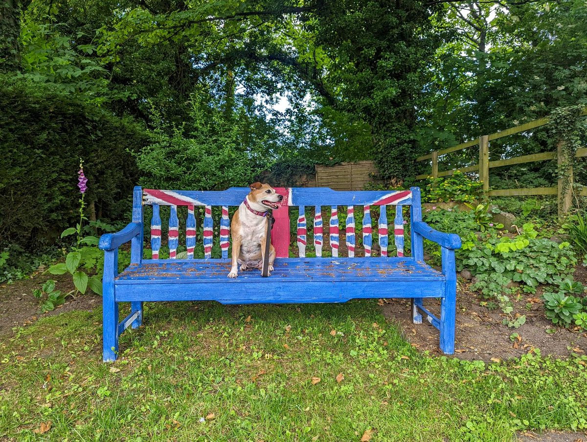 5 Star Dog-Friendly Cottages