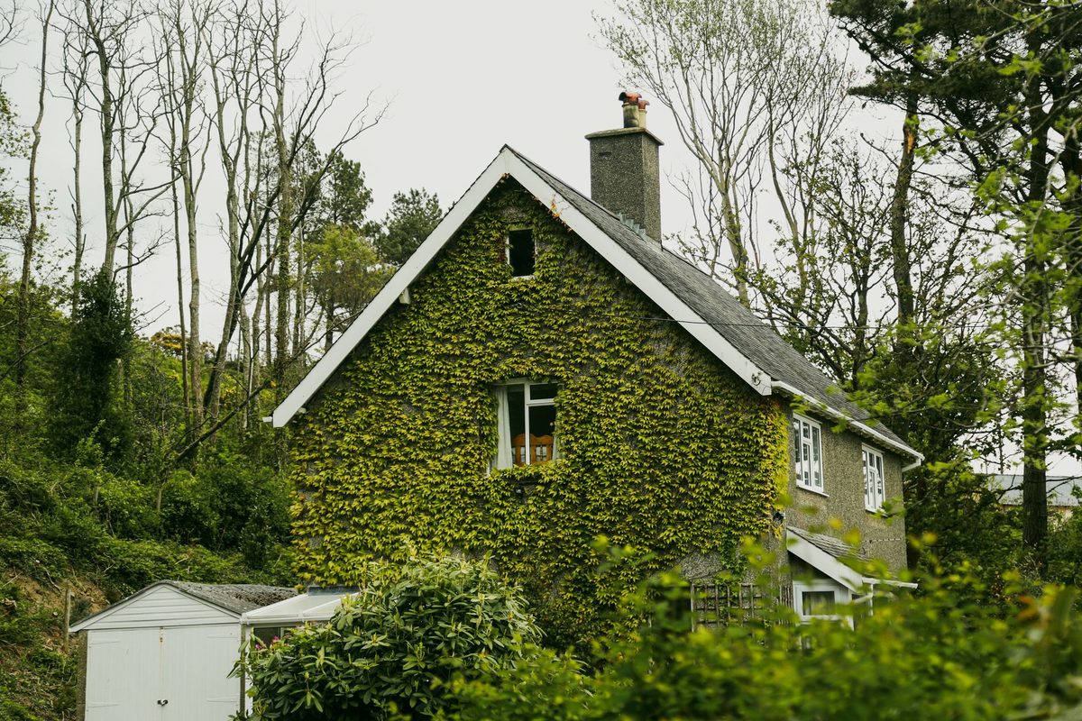 Best Pet Friendly Cottages in North Wales