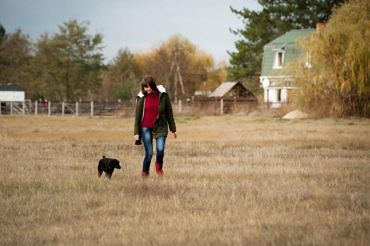 Last Minute Pet-Friendly Breaks 