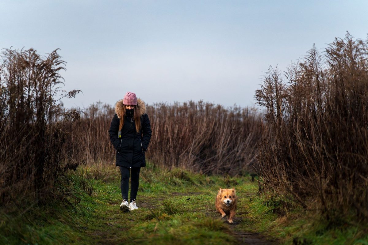 Luxury Pet-Friendly Lodges