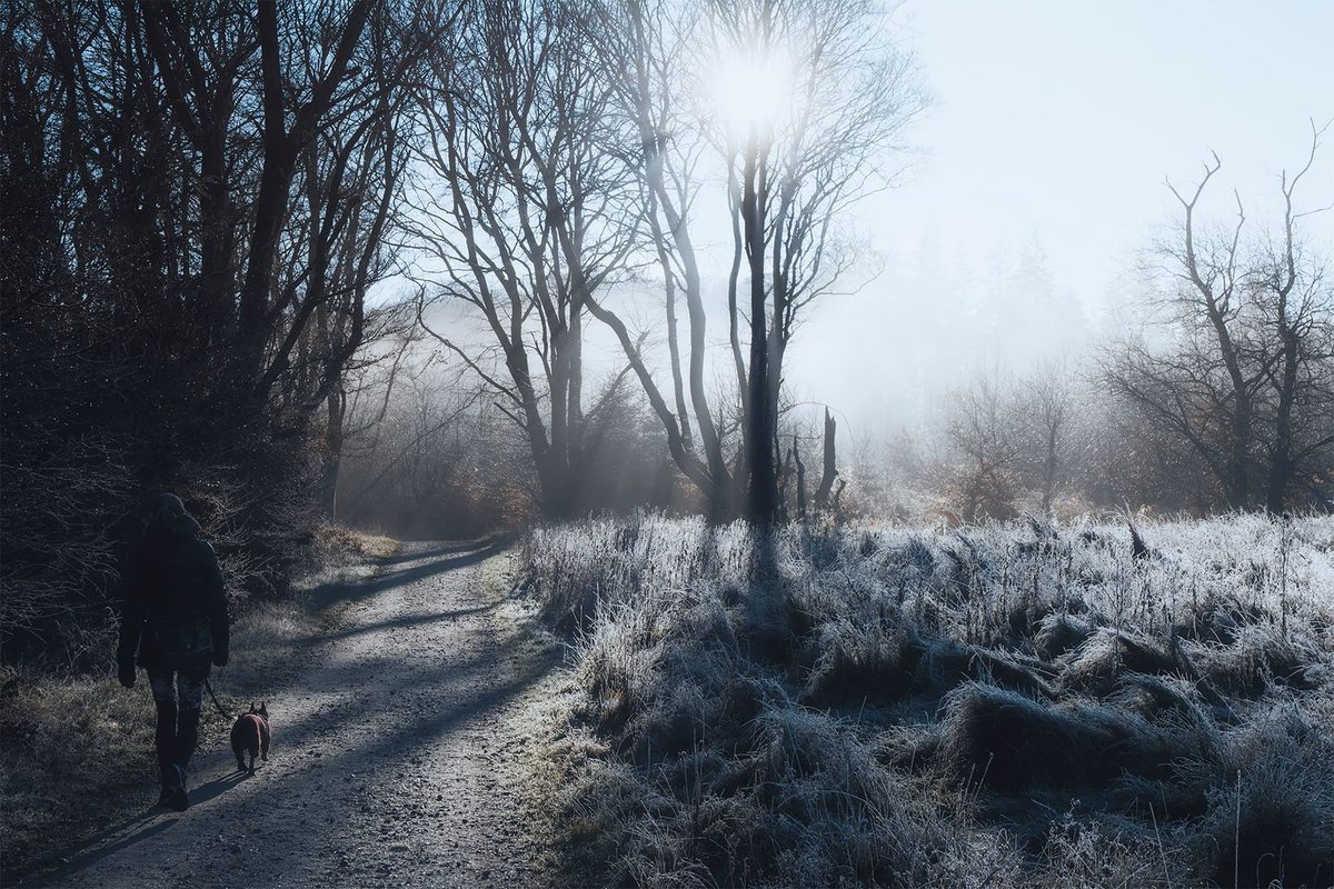 Top 5 Dog Friendly New Year Breaks 
