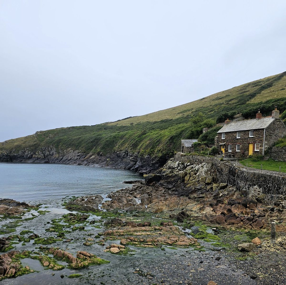 Top 8 Dog Friendly Beaches in Cornwall
